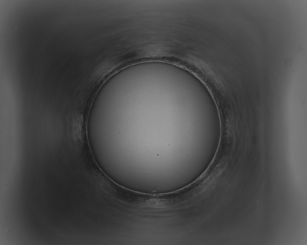 X0000103161265200808291443