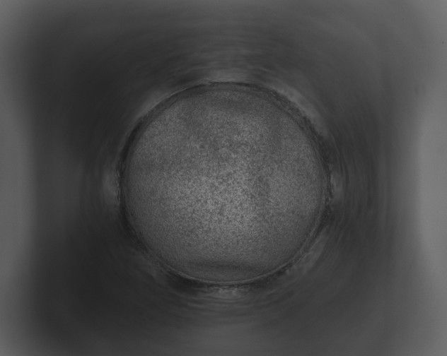 X0000103161266200808291443