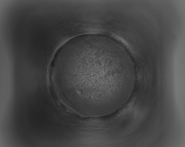 X0000103161267200808291443