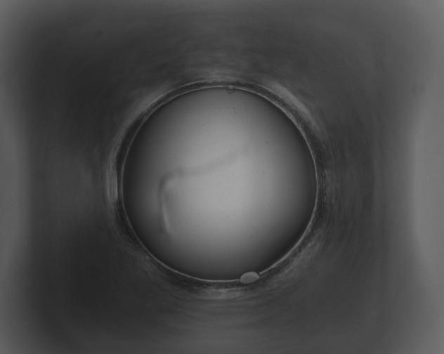 X0000103161269200808291443