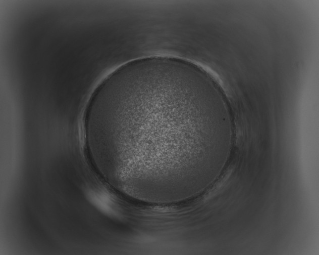 X0000103161271200808291443