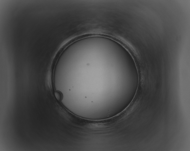 X0000103161272200808291443
