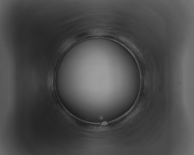 X0000103161273200808291443