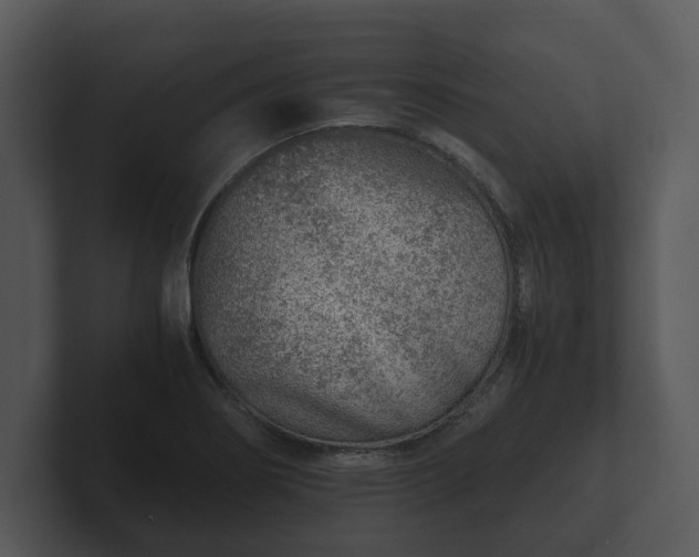 X0000103161274200808291443