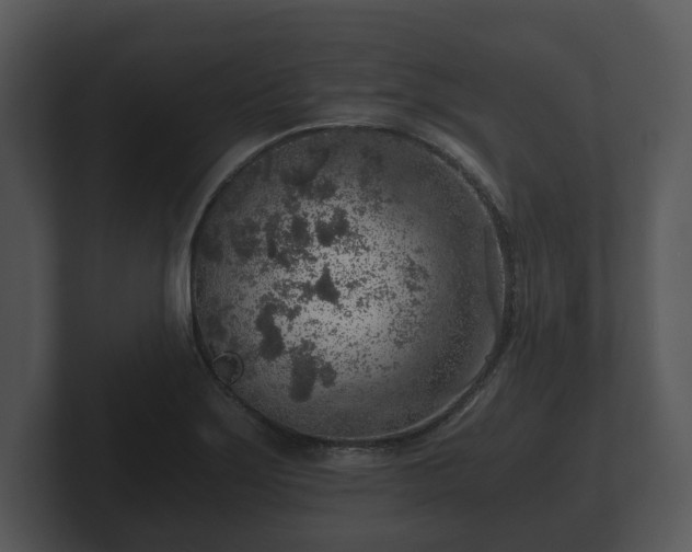 X0000103161275200808291443