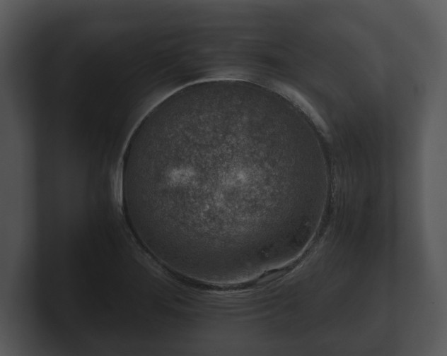 X0000103161276200808291443