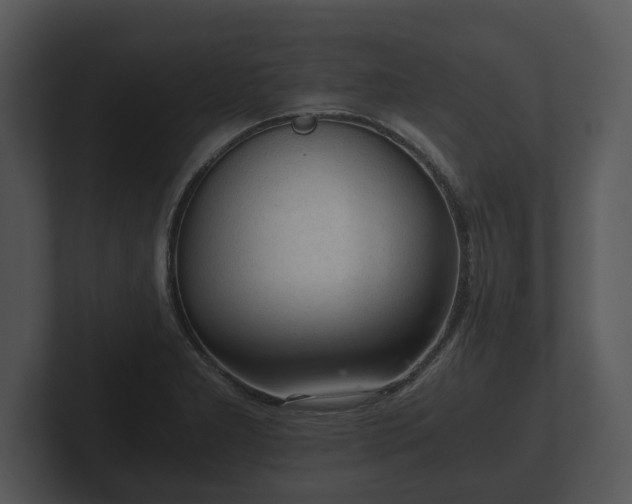 X0000103161277200808291443