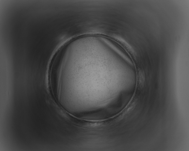X0000103161278200808291443
