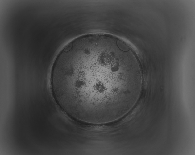 X0000103161279200808291443