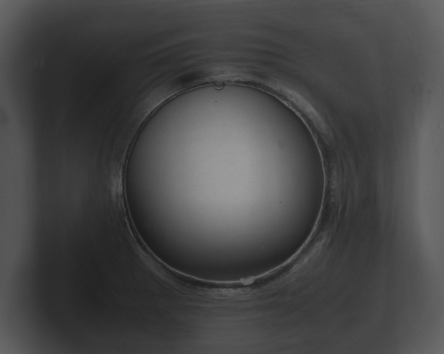 X0000103161281200808291443