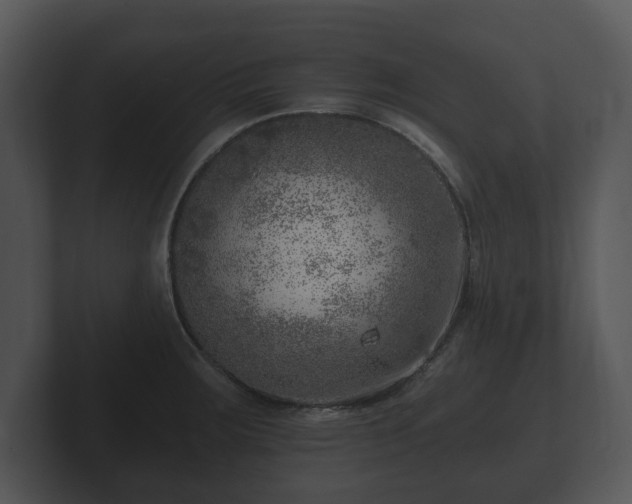 X0000103161283200808291443