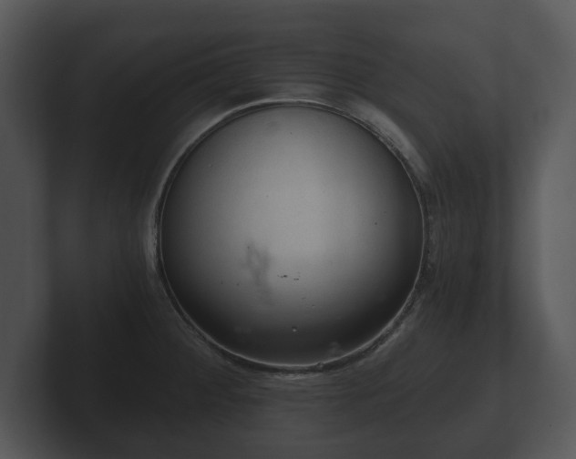 X0000103161284200808291443