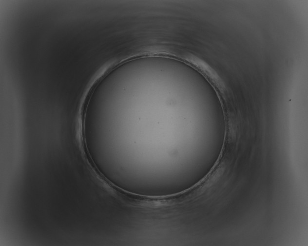 X0000103161286200808291443
