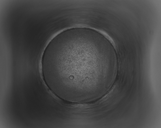 X0000103161287200808291442