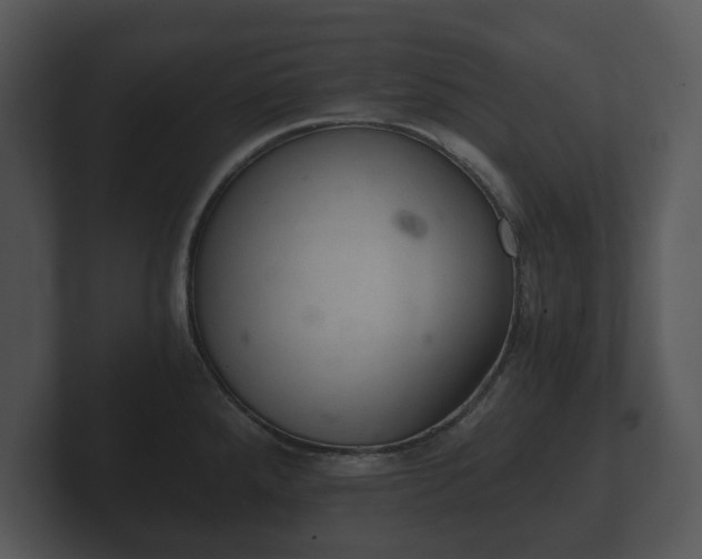 X0000103161288200808291442