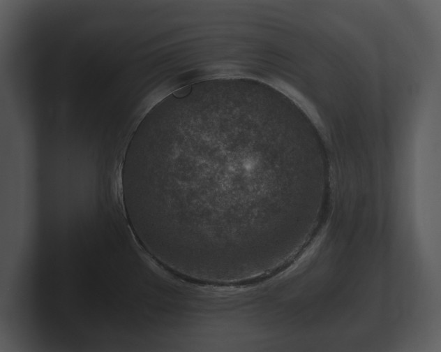 X0000103161289200808291442