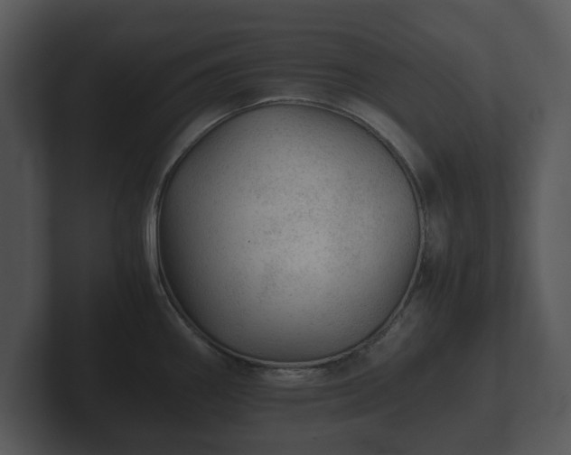 X0000103161290200808291442