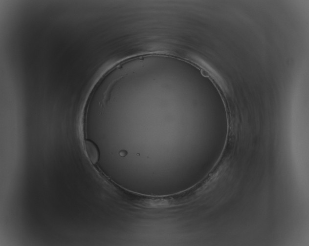 X0000103161291200808291442