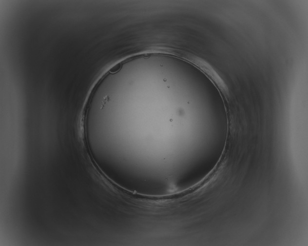 X0000103161292200808291442