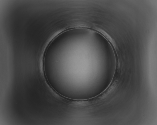 X0000103161293200808291442