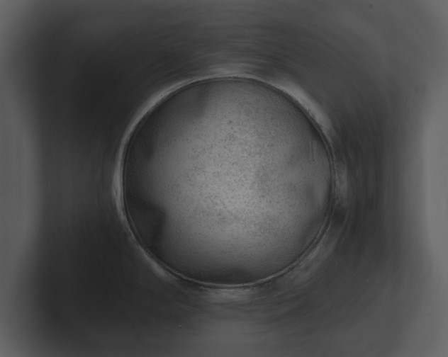 X0000103161294200808291442