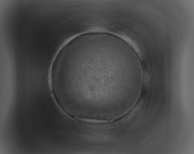 X0000103161295200808291442