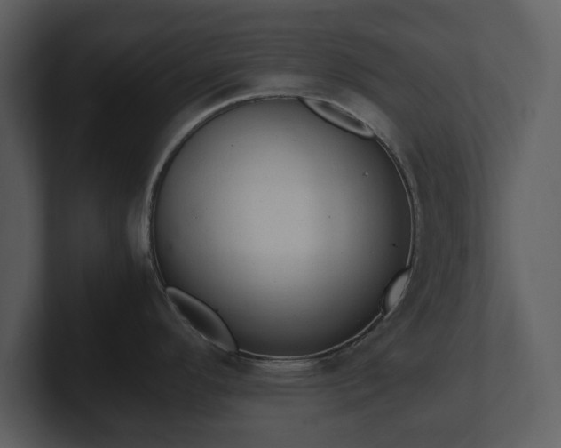 X0000103161296200808291442