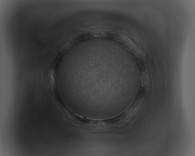 X0000103161298200808291442