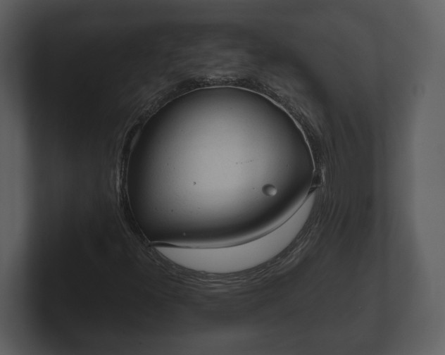 X0000103161300200808291442