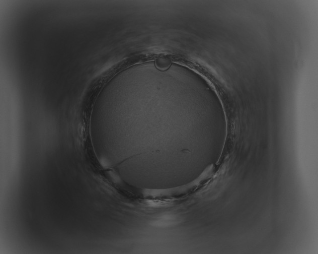 X0000103161303200808291442