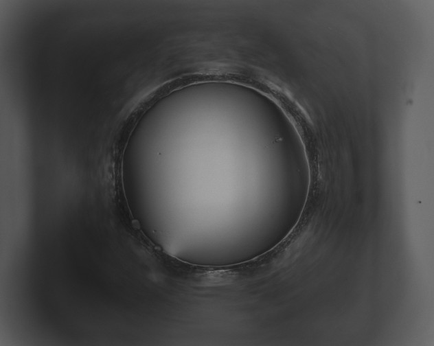 X0000103161304200808291442