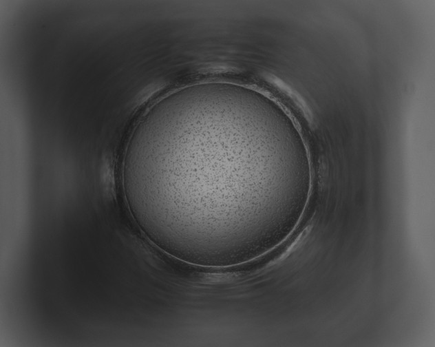 X0000103161305200808291442