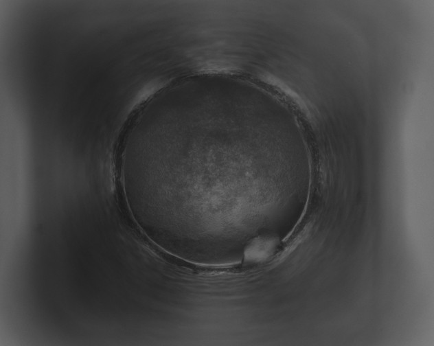 X0000103161306200808291442