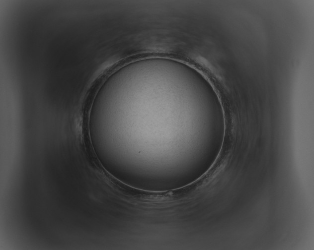 X0000103161307200808291442