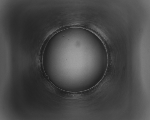 X0000103161308200808291442