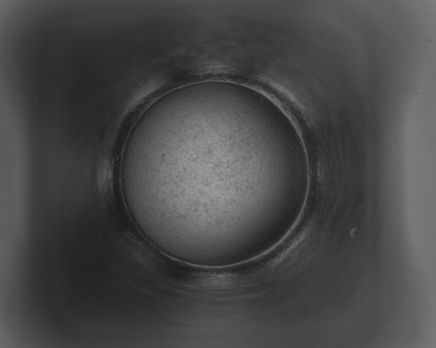 X0000103161309200808291442