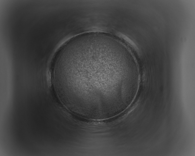 X0000103161310200808291442