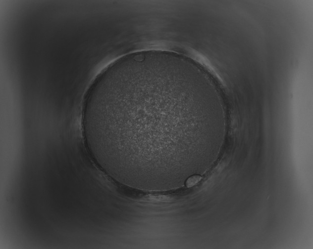 X0000103161312200808291442