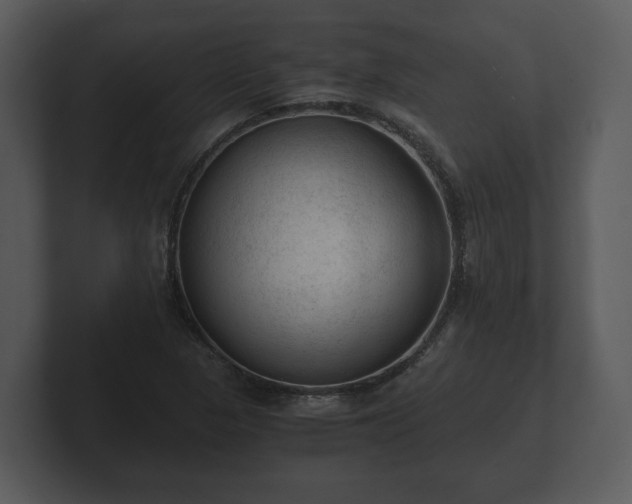 X0000103161313200808291442
