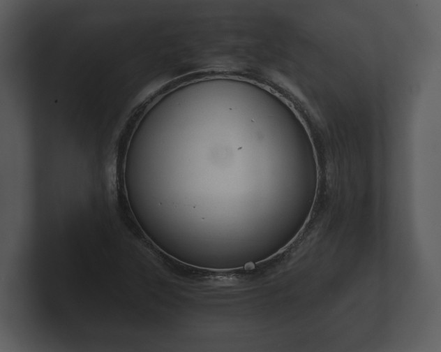 X0000103161315200808291442