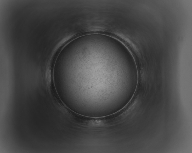 X0000103161317200808291442