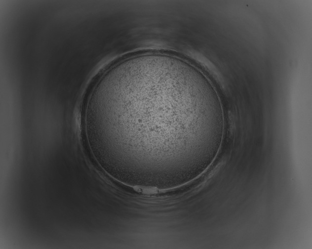 X0000103161318200808291442