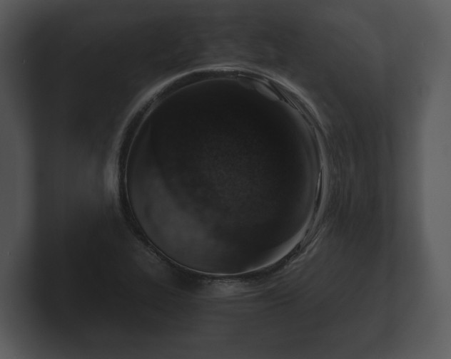 X0000103161319200808291442