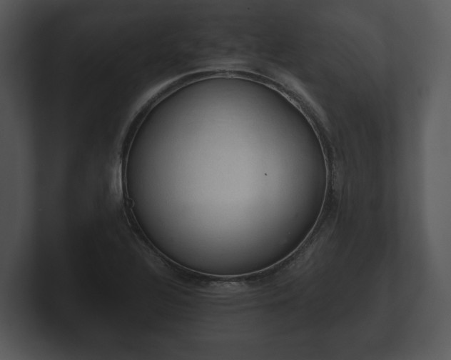 X0000103161320200808291442