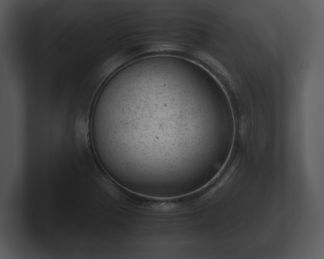 X0000103161321200808291442