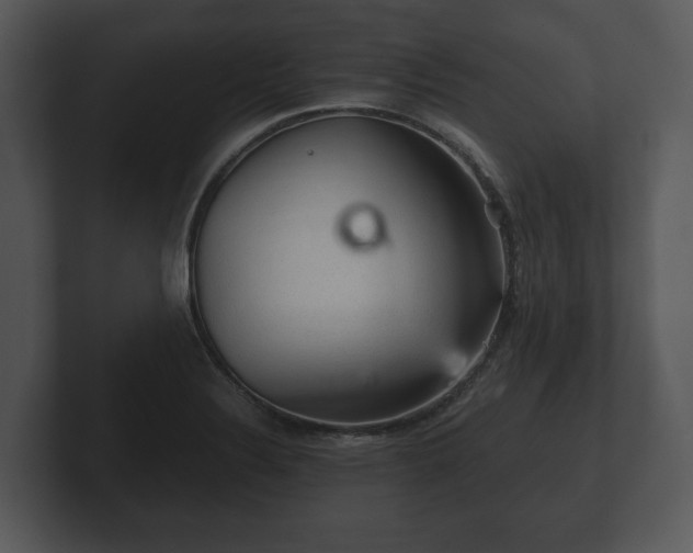 X0000103161324200808291442