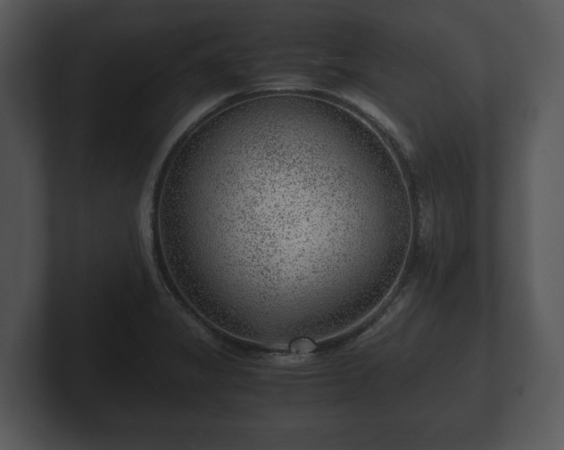 X0000103161325200808291442
