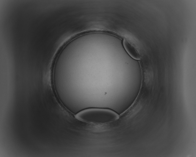 X0000103161326200808291442