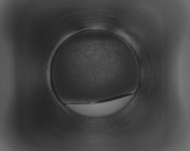 X0000103161331200808291442