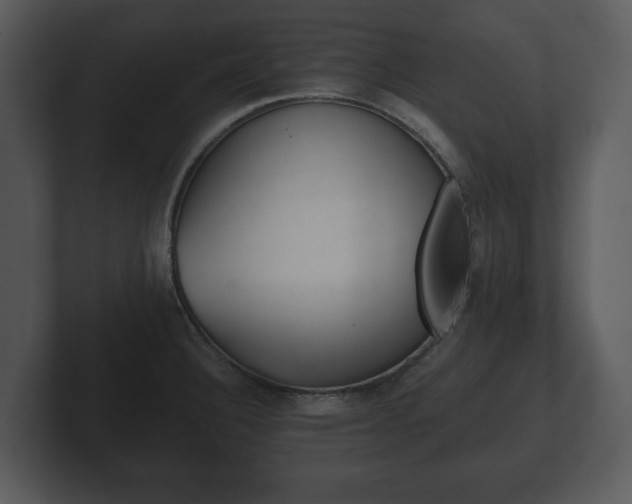 X0000103161332200808291442